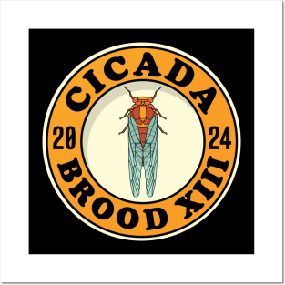 Cicada Brood XIII Periodical Cicada Posters and Art